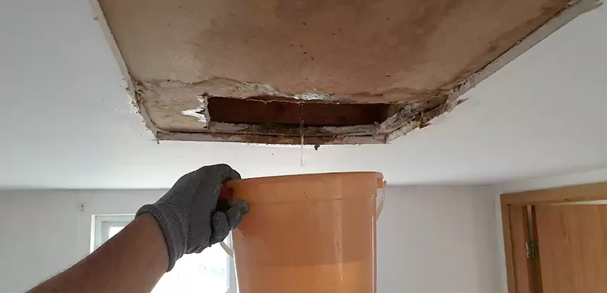 Ceiling Mold Repair Usaf Academy