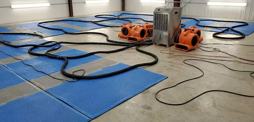 Professional Flooded Carpet Drying Services in Usaf Academy, CO